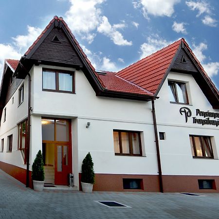 Pensiunea Transilvania Nagyszeben Kültér fotó